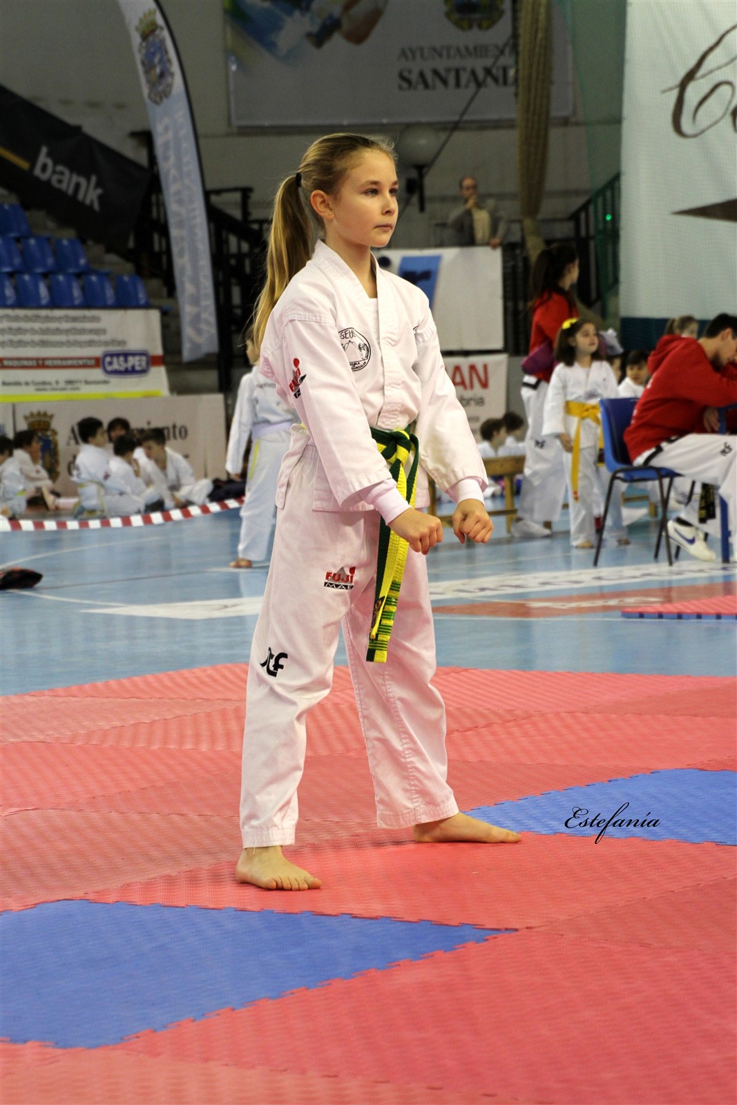 Taekwondo (137).jpg